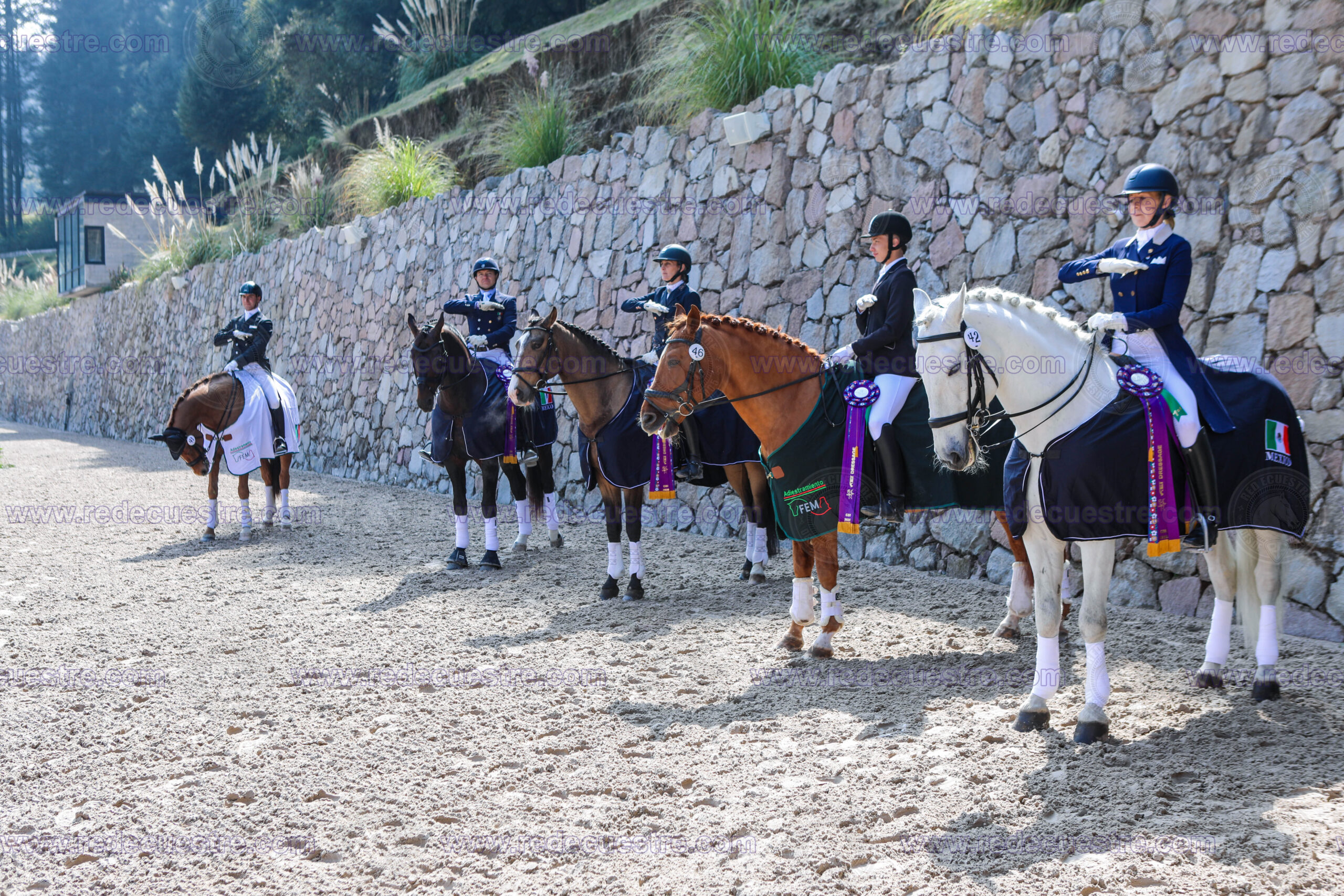 Primera fecha del Circuito Metropolitano de Adiestramiento y CDI 2026