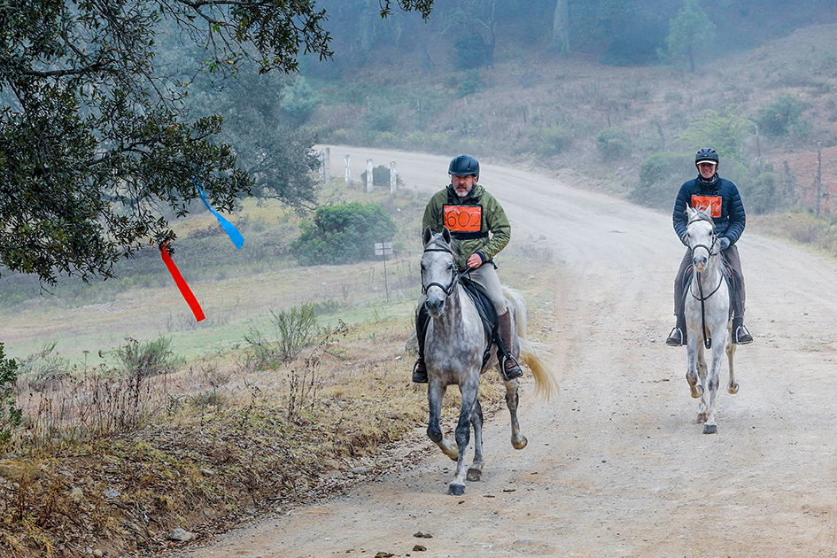 Primera Fecha Endurance CEI y CEN en la Villa Ecuestre Jaguar