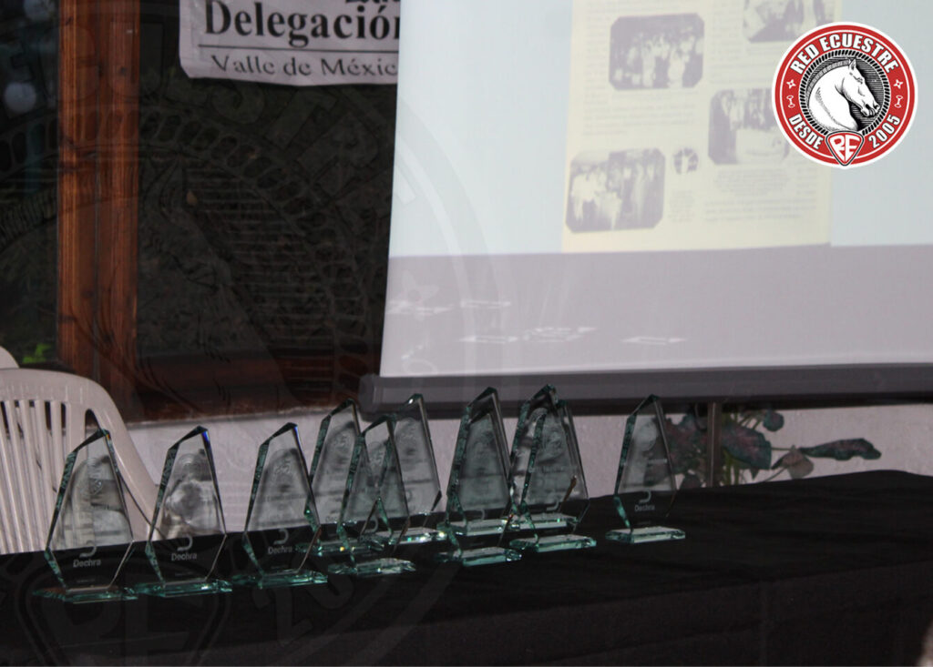delegación Valle de México AMVEE RED ECUESTRE