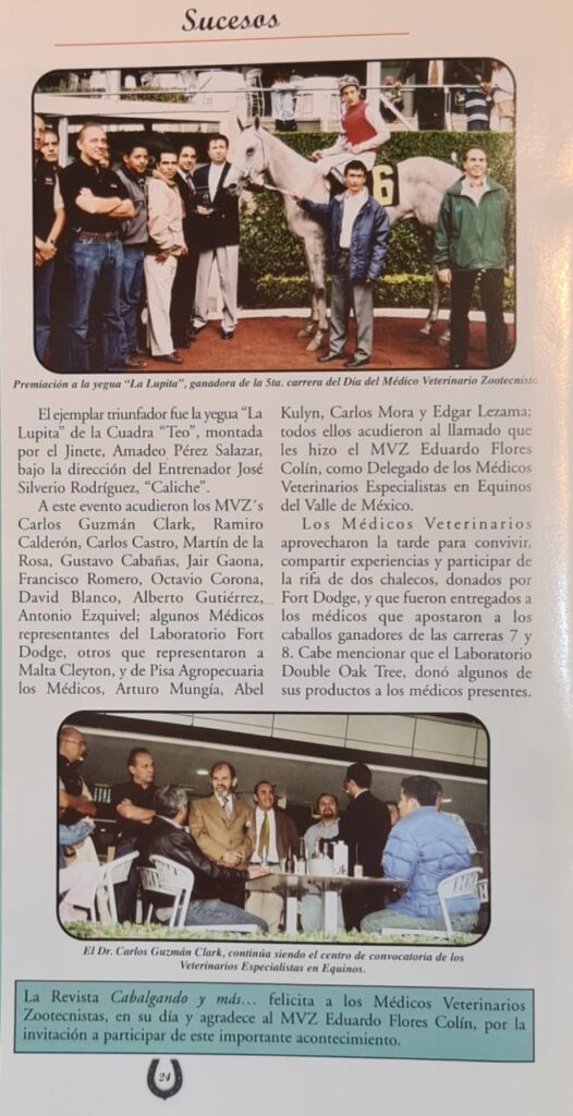 delegación Valle de Mexico AMVEE RED ECUESTRE
