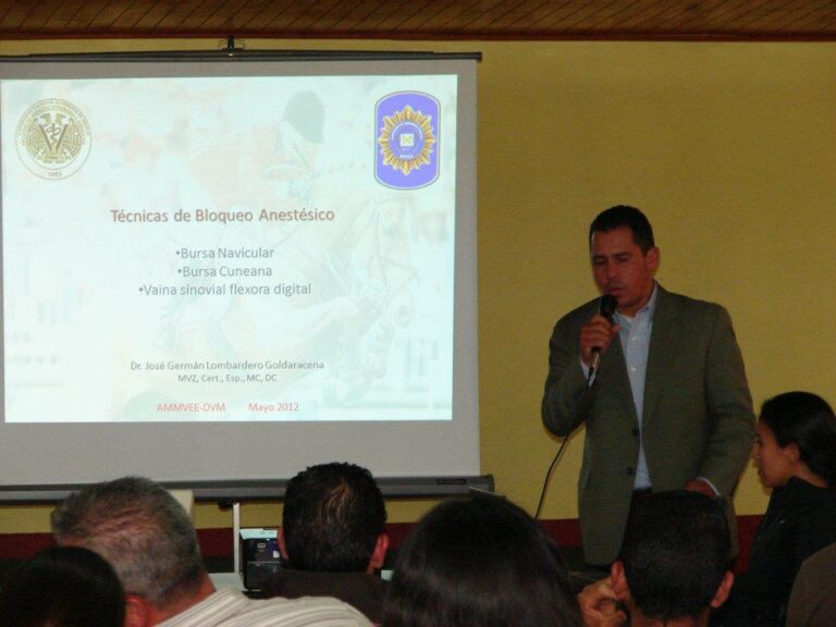 delegación Valle de México AMVEE RED ECUESTRE