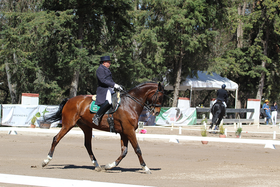 club hípico mexicano