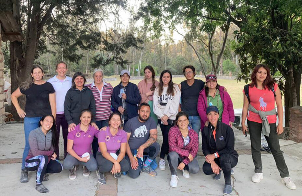 Curso Fei Vaulting Red Ecuestre