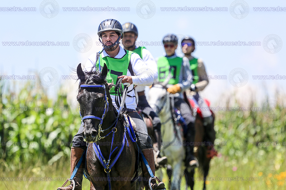 Training en Red conociendo el Endurance