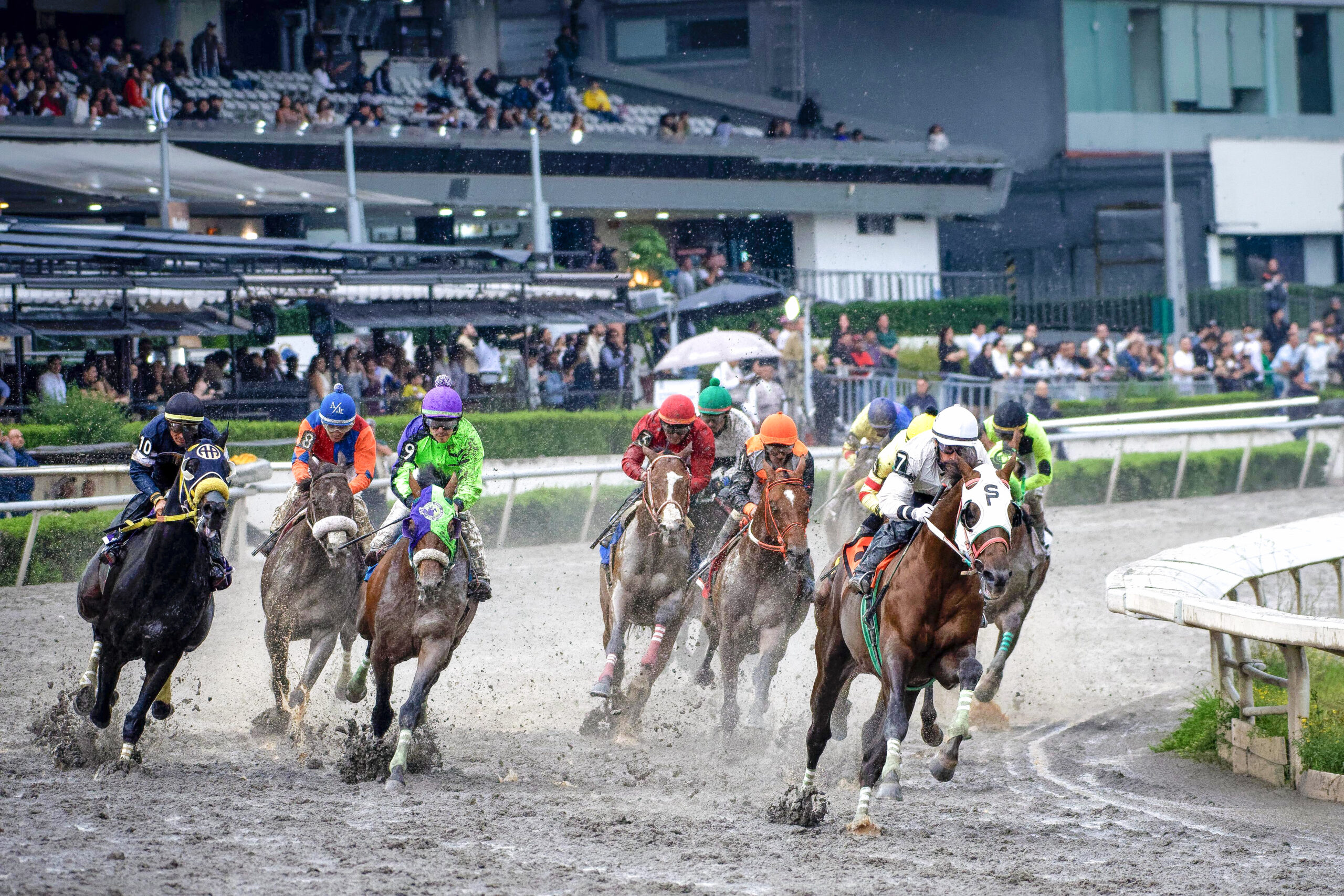 Copa Criadores Handicap Lomas de Sotelo y Monarca
