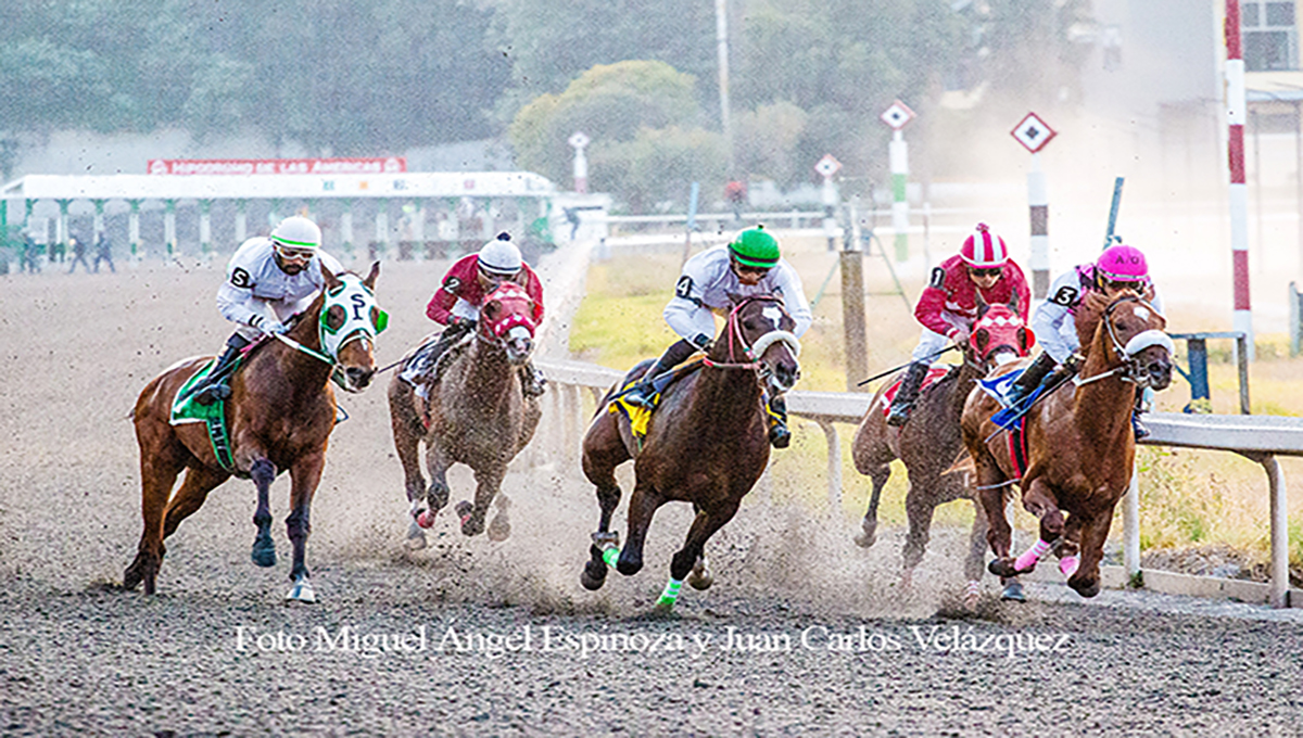 LXXIII Futurity Mexicano