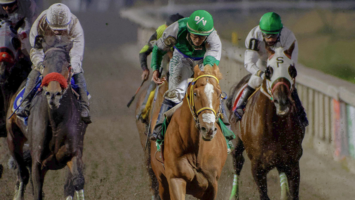 Cierre de año 2025 en el Hipodromo de Las Américas