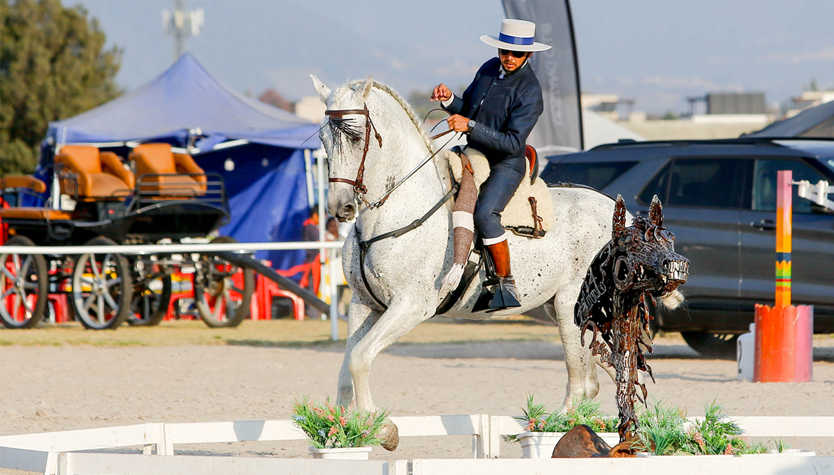 Primera fecha del Campeonato Nacional de Equitación de Trabajo AMETAC 2026