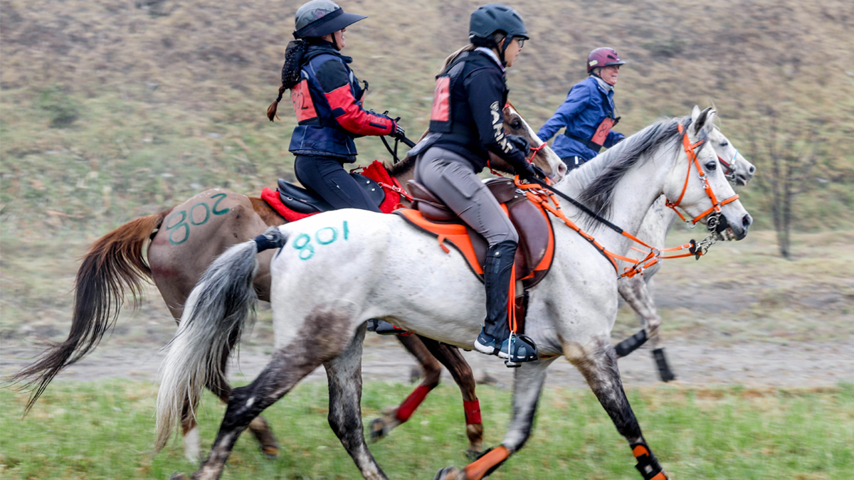 Primera Fecha Endurance CEI y CEN en la Villa Ecuestre Jaguar