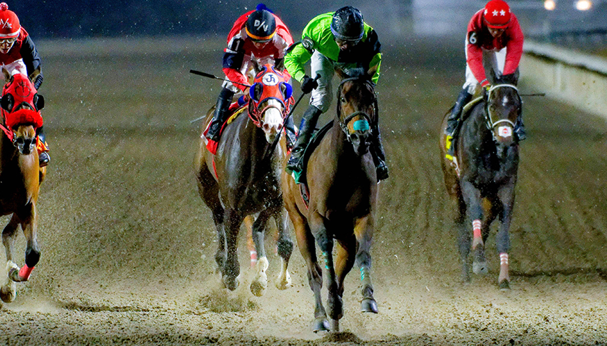 Campaña 83 del Hipódromo de Las Américas 2026