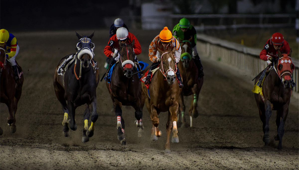 Yamamoto gana el XXVI Clásico de la Bandera 2026 con autoridad