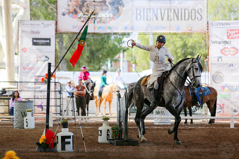 Internacional de Equitación de Trabajo Qualifier 2026 AMETAC