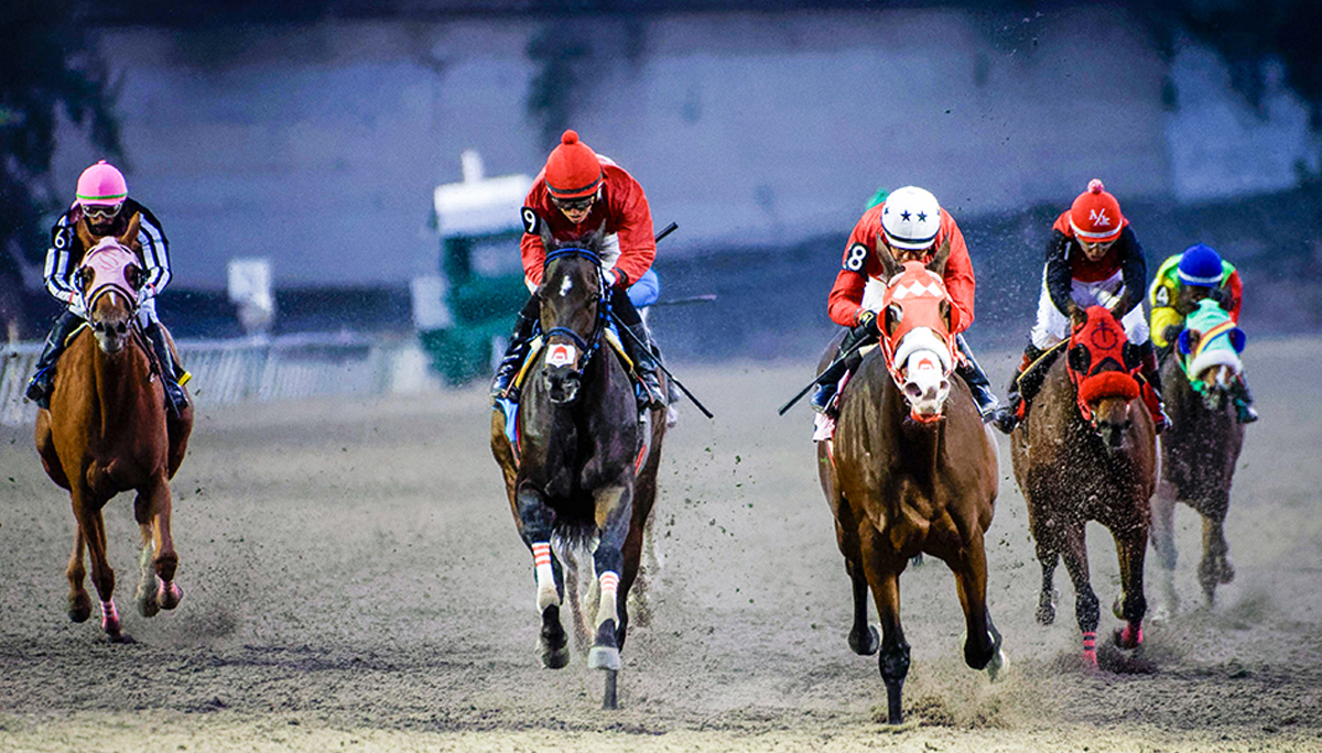 Romanaya conquista el LXIV Clásico Letruska en el Hipódromo de las Américas