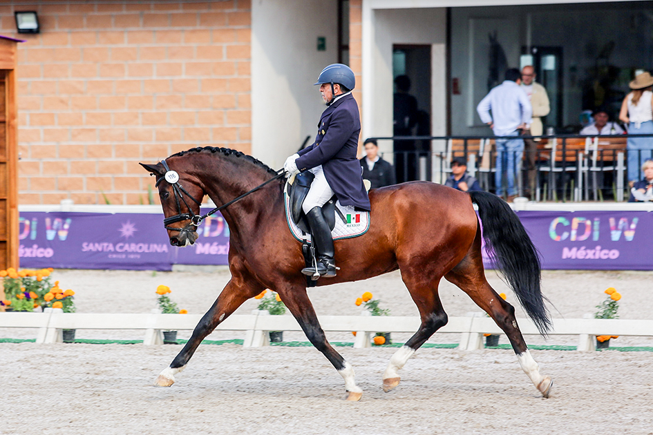 ermitañoDressage5