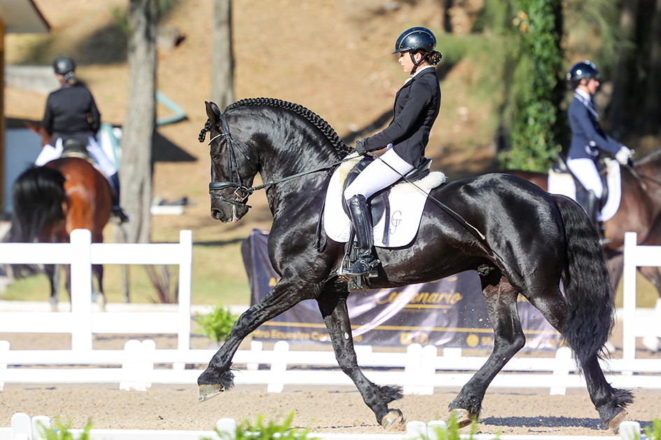 ermitañoDressage6