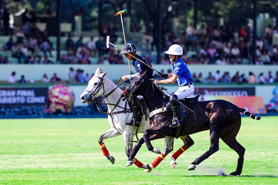 polo1