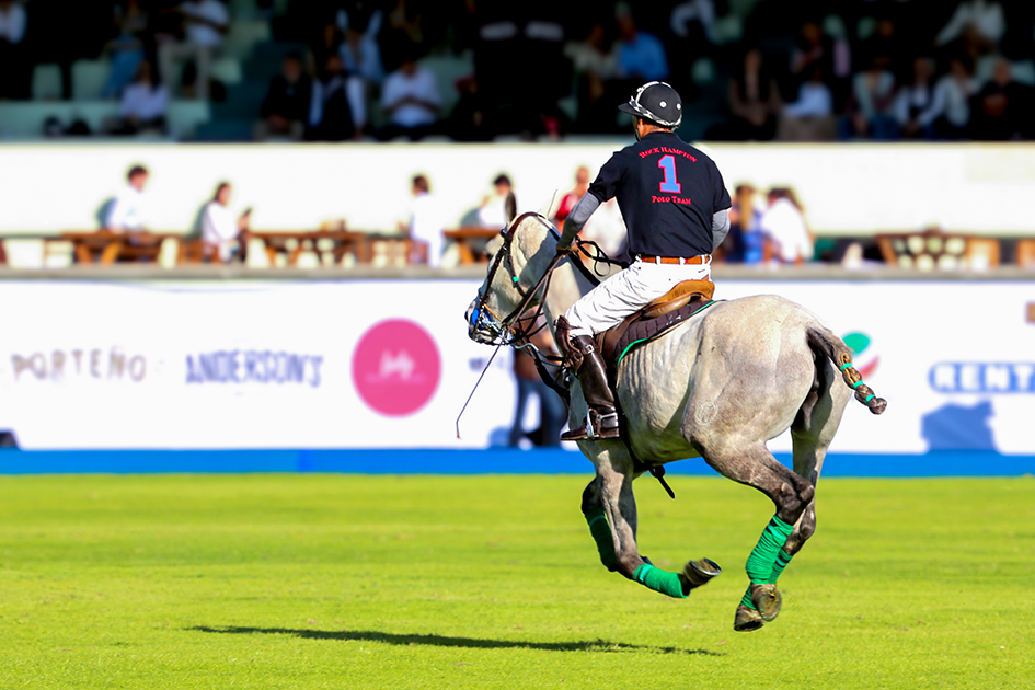 polo6