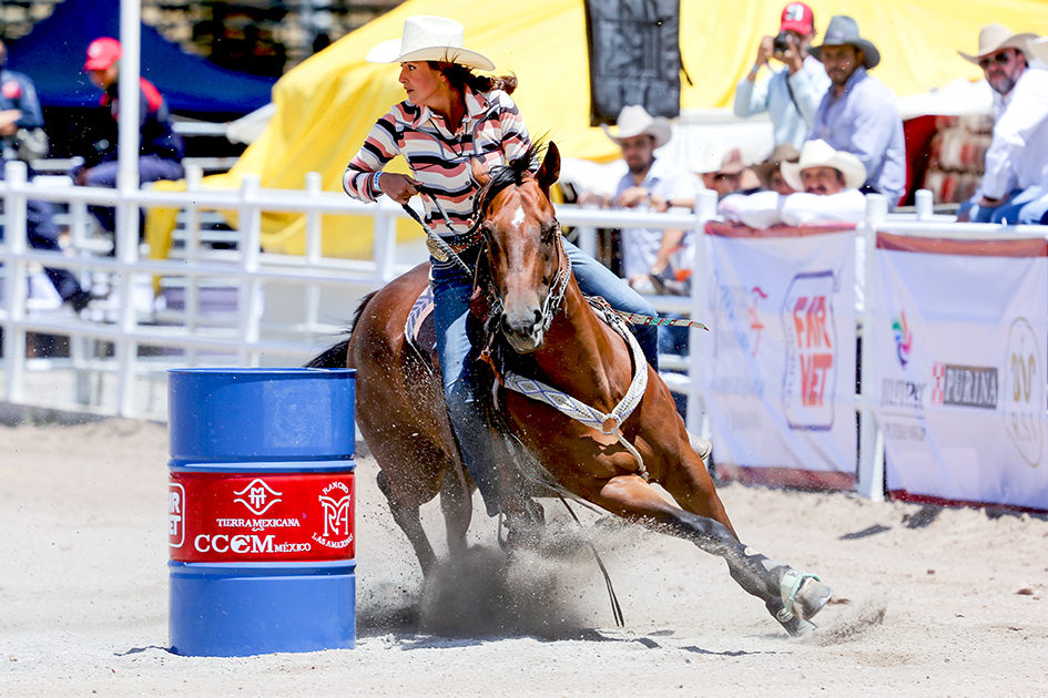 vaqueros1