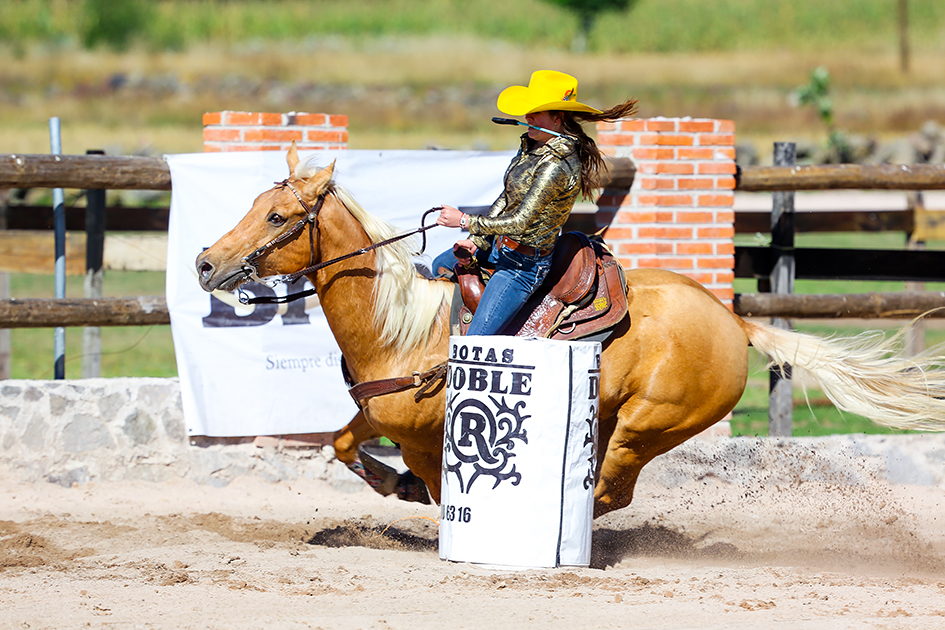 vaqueros3
