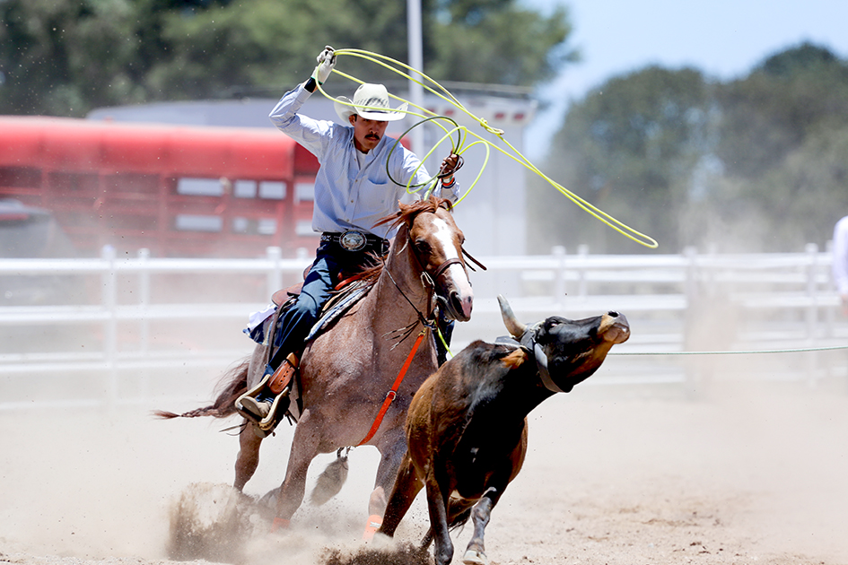 vaqueros5