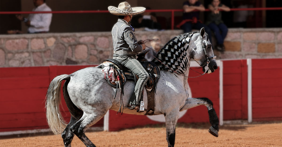 La Raza Azteca: Origen, historia y evolución del caballo mexicano