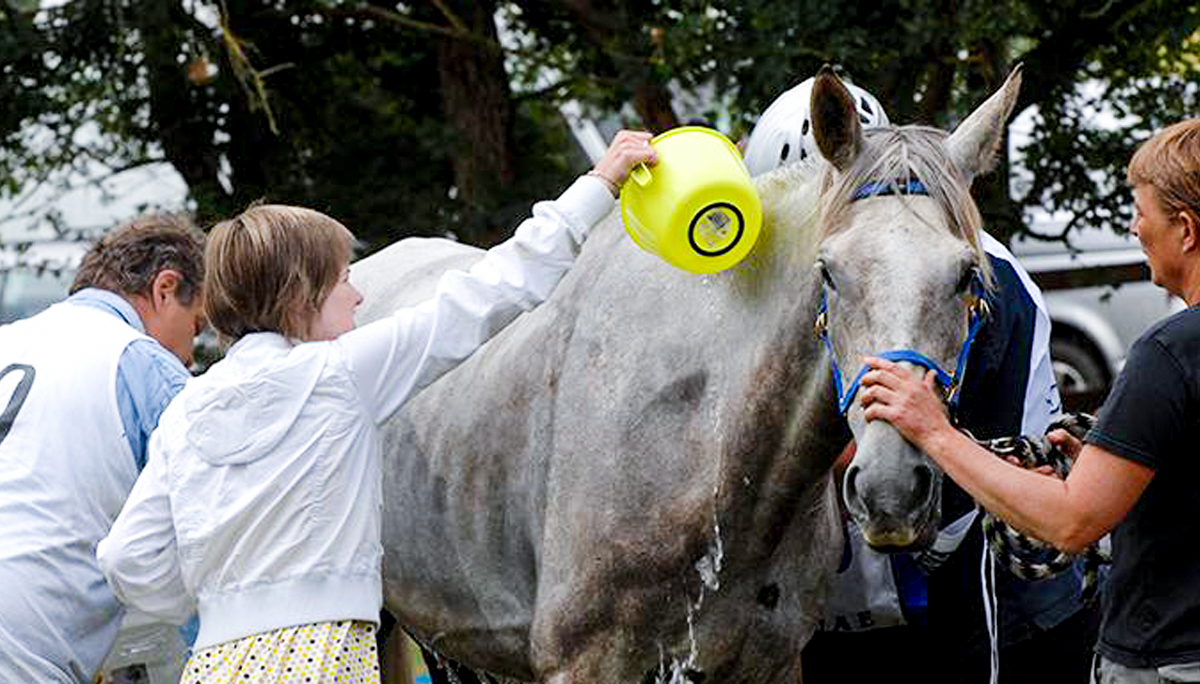 Enfriamiento después del ejercicio en caballos