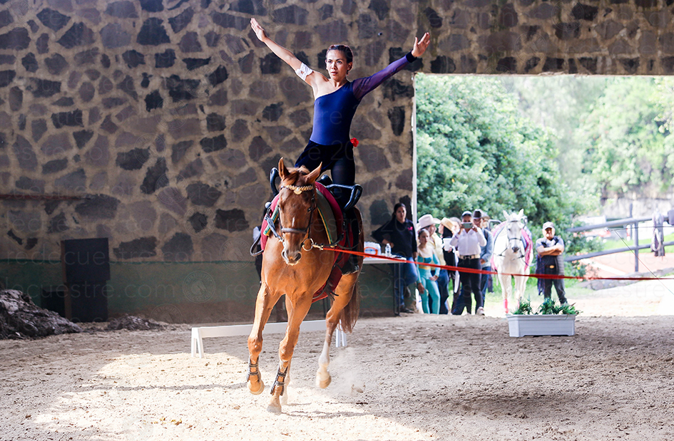 Circuito Metropolitano de Vaulting 2026 primera fecha