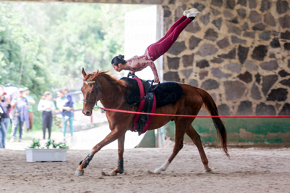 Circuito Metropolitano de Vaulting 2026 primera fecha