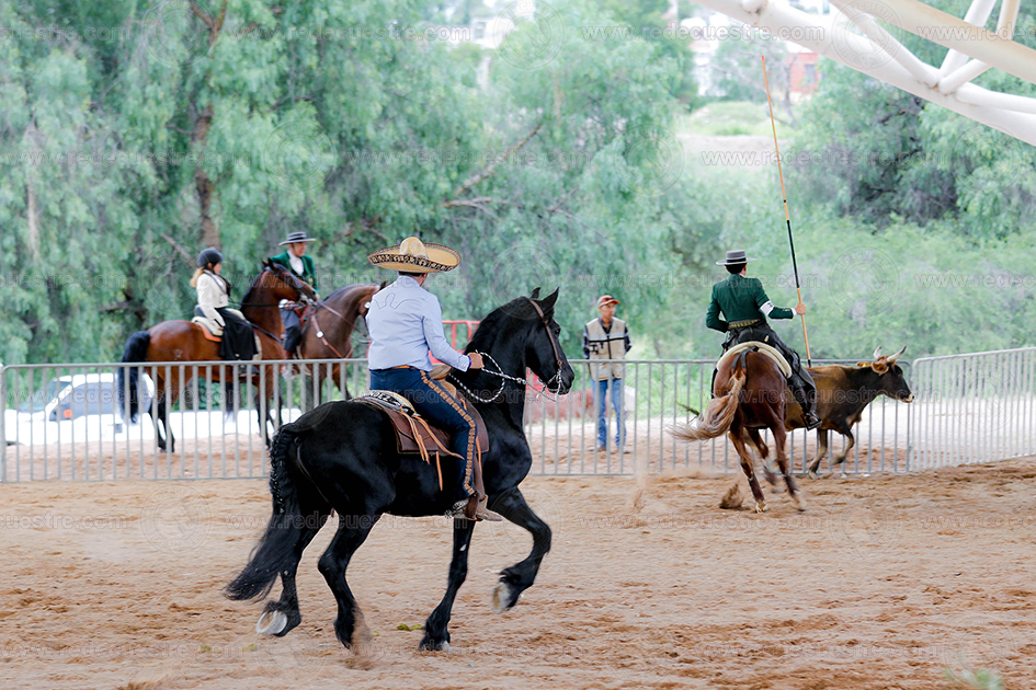 Equitación de Trabajo AMETAC en Aguascalientes