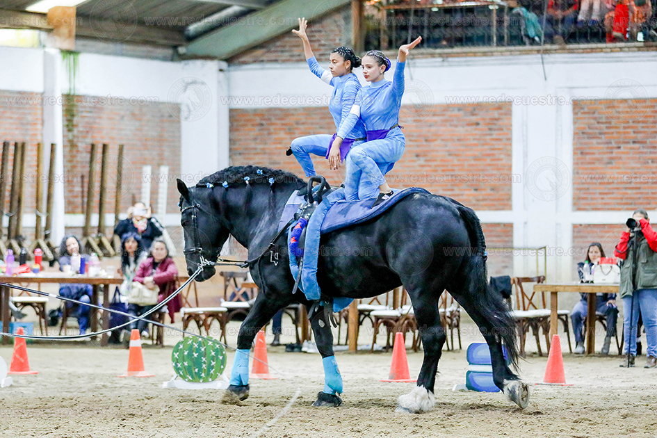 Circuito Metropolitano de Vaulting 2026 segunda competencia, Torneo Acopilco