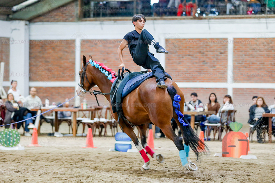  Circuito Metropolitano de Vaulting 2026-
Acopilco