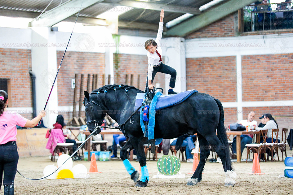 Circuito Metropolitano de Vaulting 2026-
Acopilco