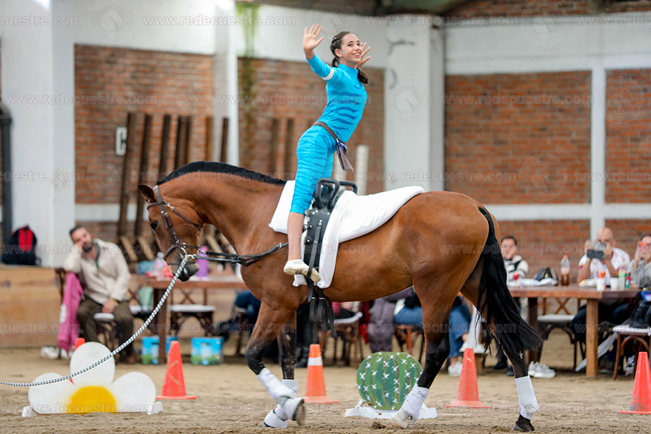 Circuito Metropolitano de Vaulting 2026-
Acopilco