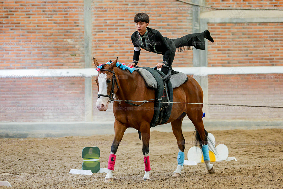 Circuito Metropolitano de Vaulting 2026-
Acopilco