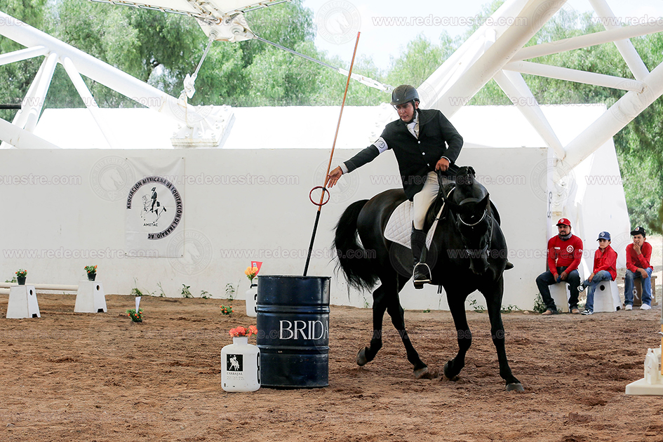 Equitación de Trabajo AMETAC en Aguascalientes