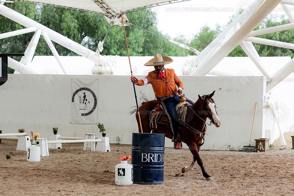 Equitación de Trabajo AMETAC en Aguascalientes