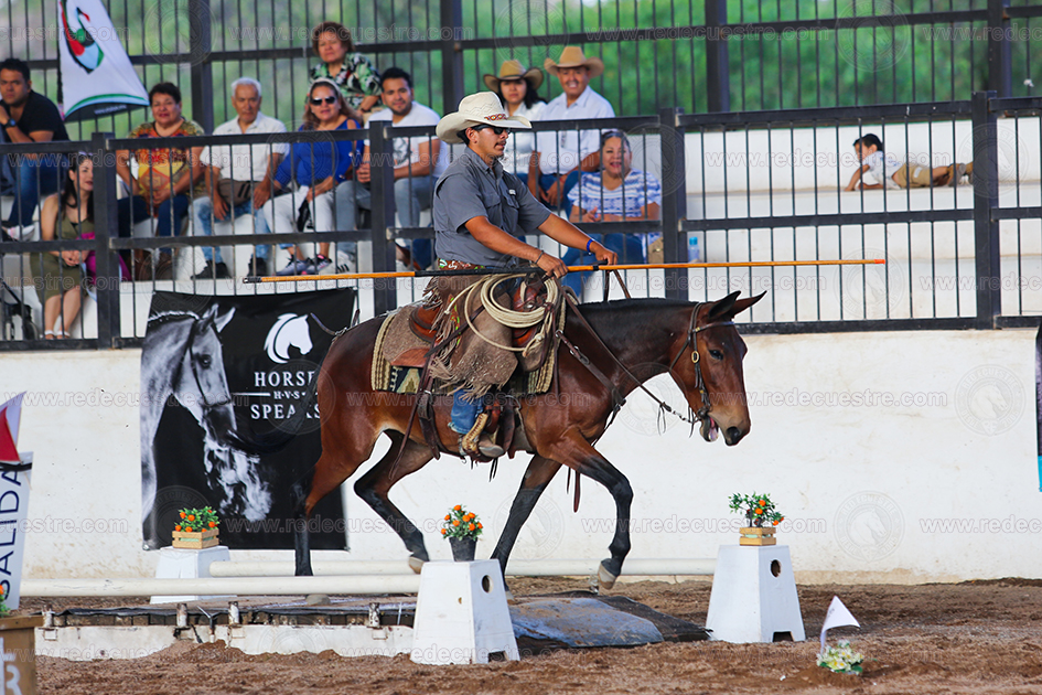 Equitación de Trabajo AMETAC en Aguascalientes