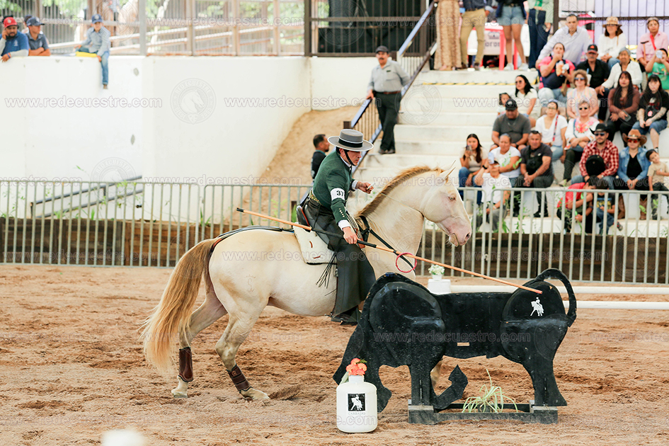 Equitación de Trabajo AMETAC en Aguascalientes