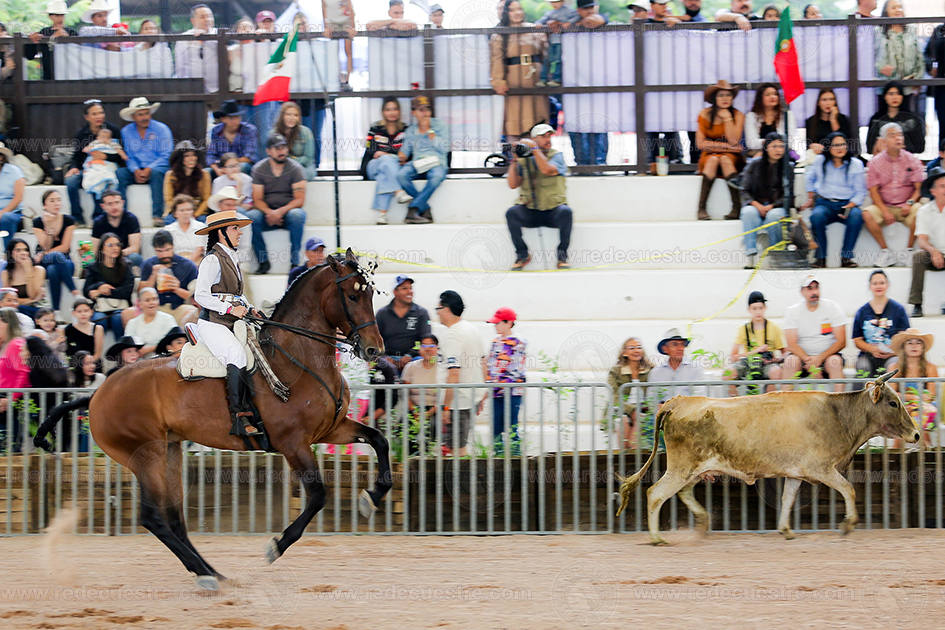 Equitación de Trabajo AMETAC en Aguascalientes
