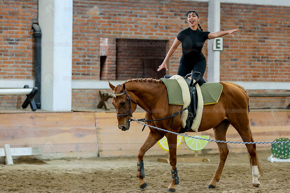 Circuito Metropolitano de Vaulting 2026-
Acopilco