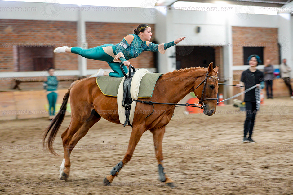 Circuito Metropolitano de Vaulting 2026-
Acopilco
