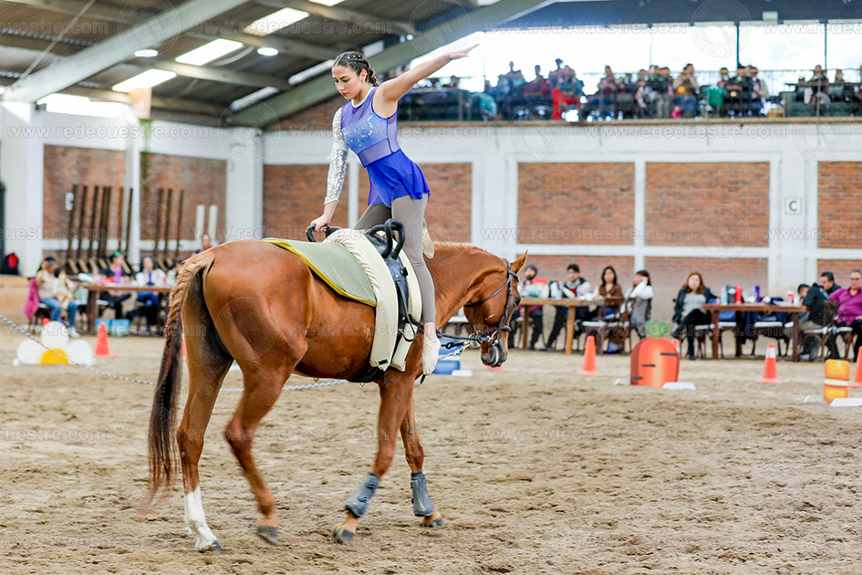 Circuito Metropolitano de Vaulting 2026-
Acopilco