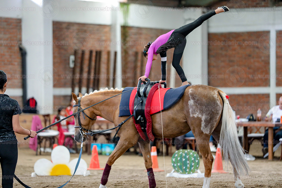 Circuito Metropolitano de Vaulting 2026-
Acopilco
