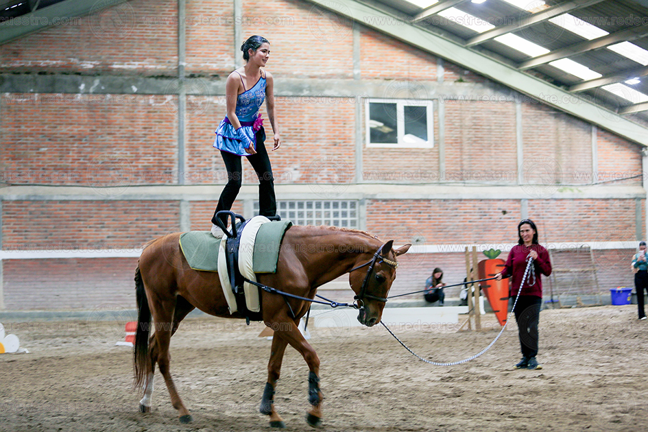 Circuito Metropolitano de Vaulting 2026-
Acopilco