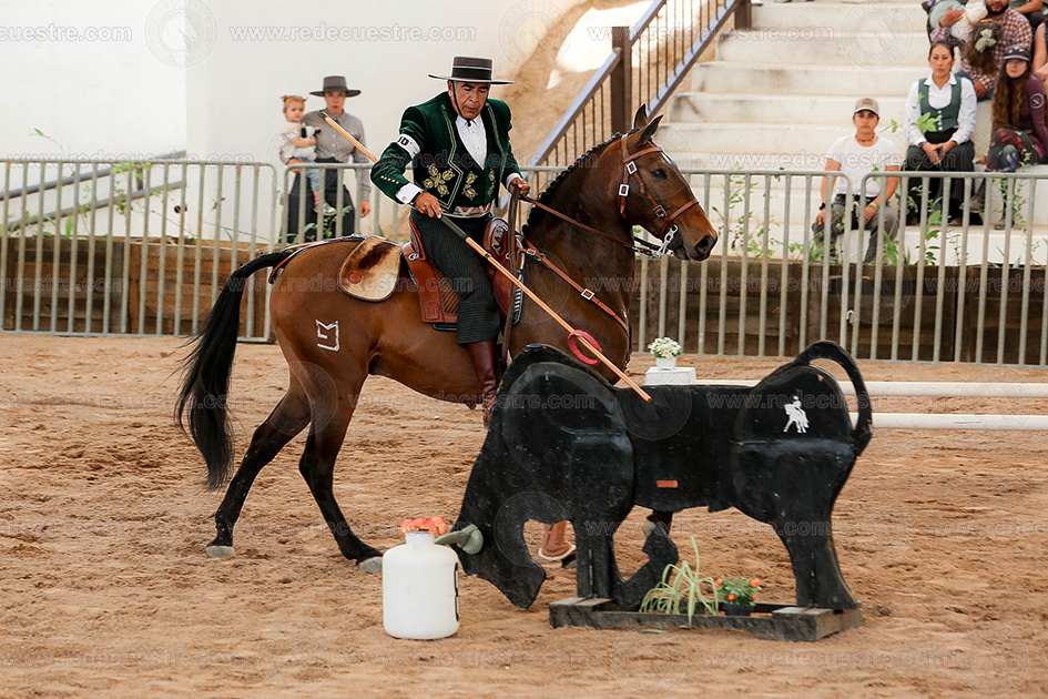 Campeonato Nacional de Equitación de Trabajo AMETAC en Aguascalientes