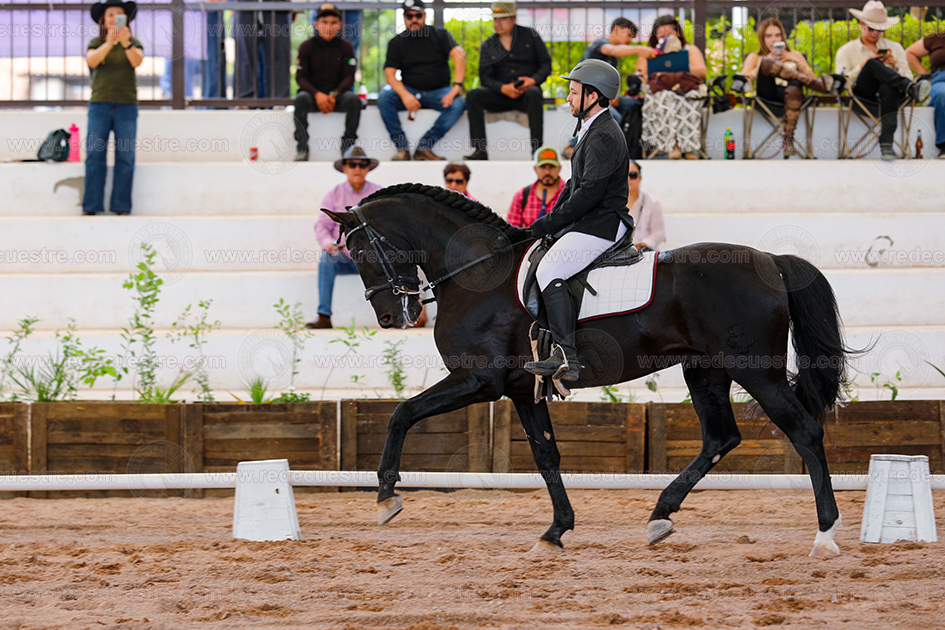 Equitación de Trabajo AMETAC en Aguascalientes