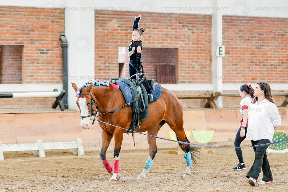 Circuito Metropolitano de Vaulting 2026-
Acopilco