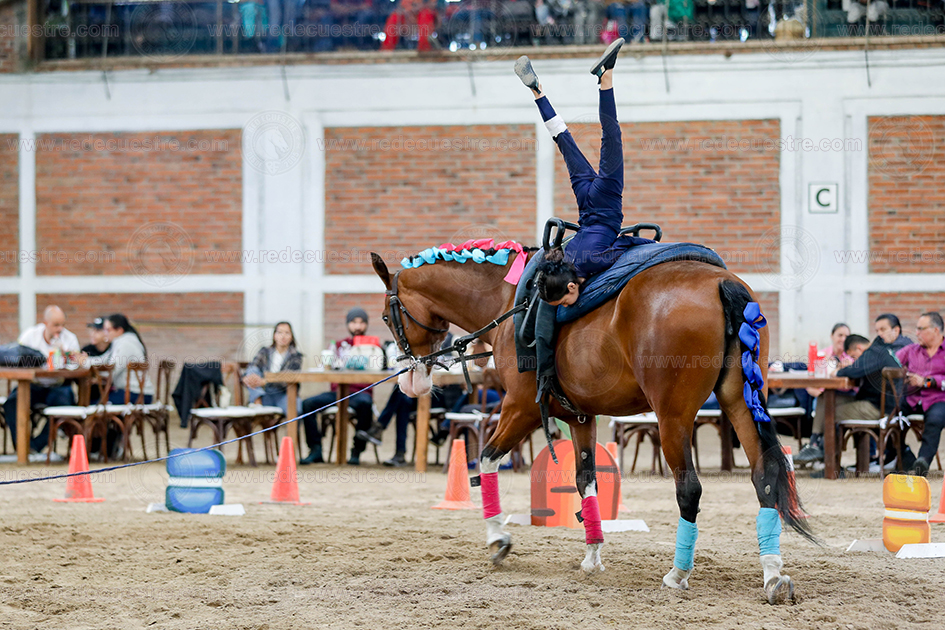 Circuito Metropolitano de Vaulting 2026- Acopilco