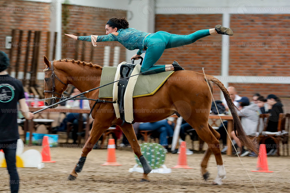 Circuito Metropolitano de Vaulting 2026-
Acopilco