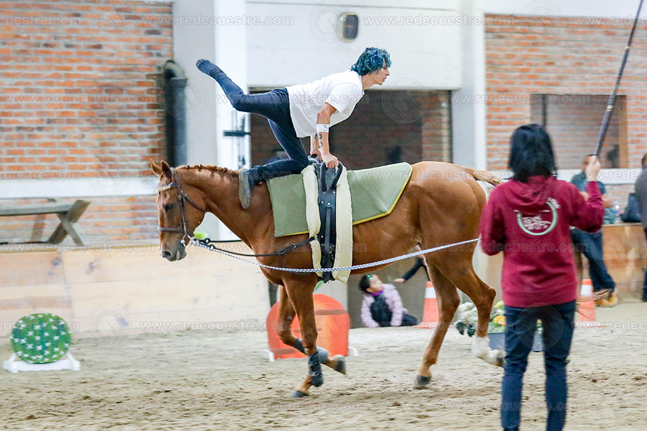 Circuito Metropolitano de Vaulting 2026-
Acopilco